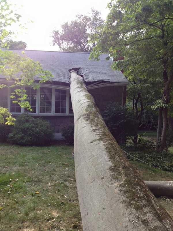 Tree Damages House In Briarcliff Manor