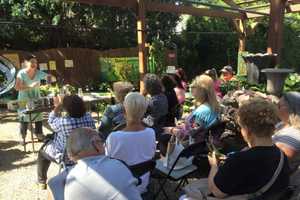Join Master Gardeners In Bloomingdale