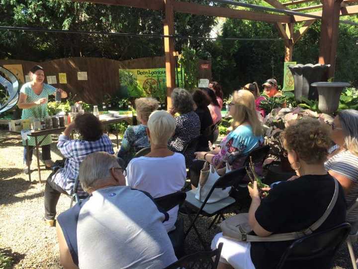 Learn gardening in Bloomingdale he Bloomingdale Senior Center gardens.