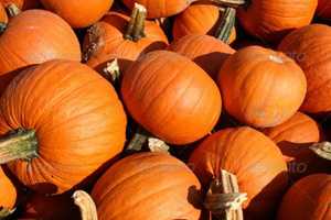 Take Part In Paramus Pumpkin Hunt, Costume Contest