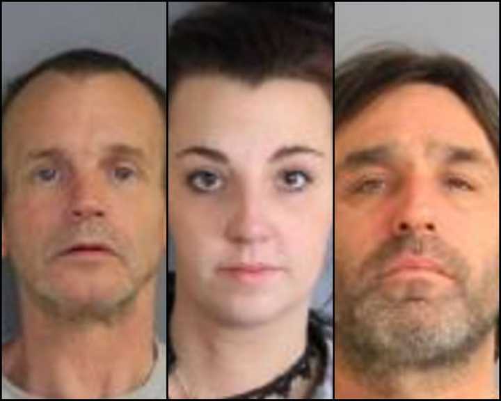 Dutchess County residents Robert Mason, Jennifer Voltz and Michael Westpfal.
