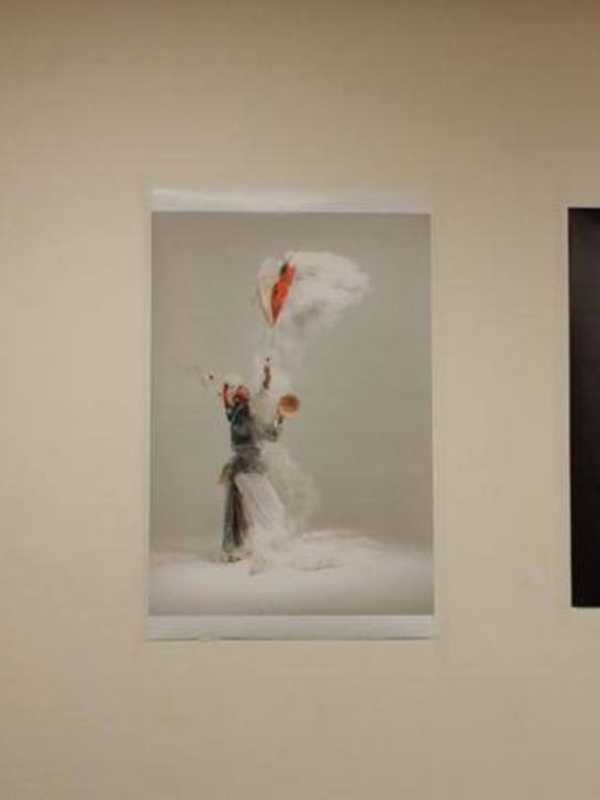 Palisades Park Library Unwraps Artist's 'Scarves' In Exhibit