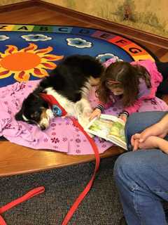 'Tucker The Dog' Returns To Beekman Library