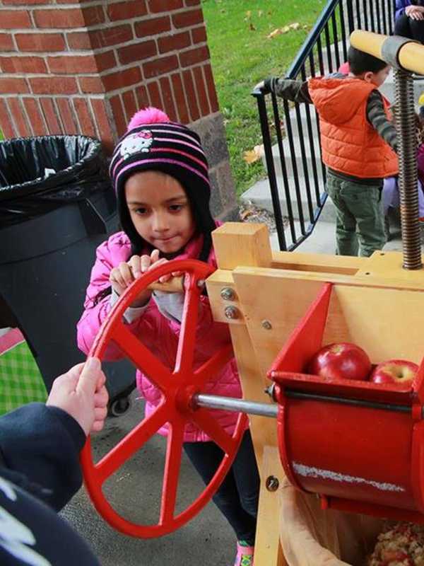 Mount Pleasant Kindergarten Classes Make Apple Cider