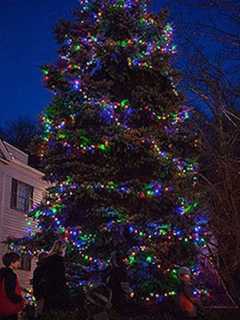 Visit Chappaqua For Carols, Christmas Tree Lighting