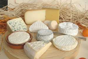 Learn To Make Cheese At Red Hook Public Library
