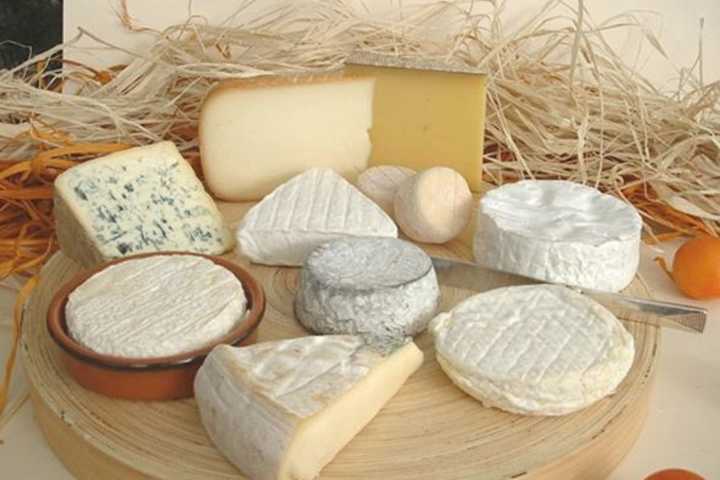 Learn To Make Cheese At Red Hook Public Library