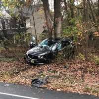 <p>The impact knocked the SUV into a wooded area.</p>