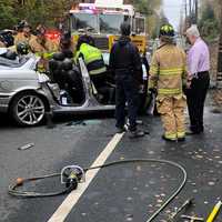 <p>The Jaguar driver had to be extricated following the crash on Livingston Street near Blanch Avenue in Norwood.</p>