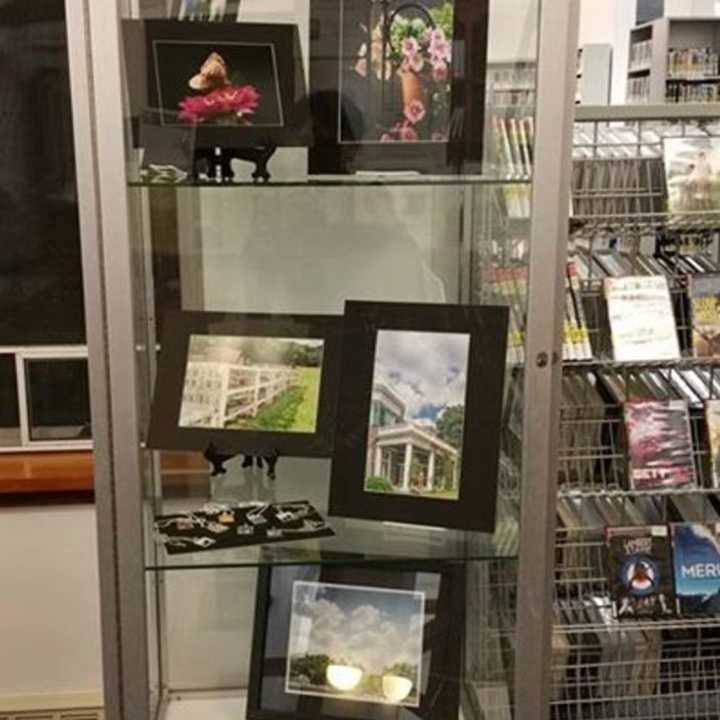 Some of Denise Farro&#x27;s photo art on display at the library.