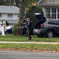 <p>The SUV and its occupants were relatively unharmed.</p>