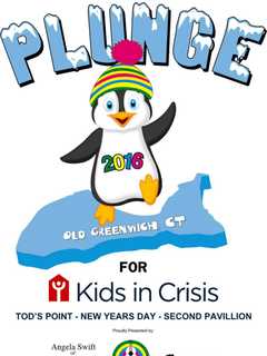 Swimmers To Brave Polar Bear Plunge In Greenwich 