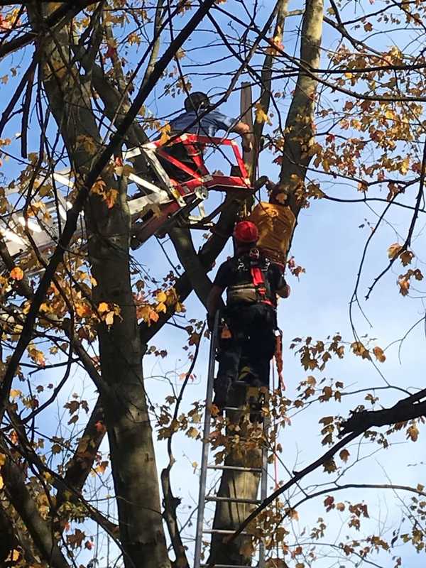 Firefighters Perform 'High-Risk' Rescue Of Trapped, Injured Worker In Fairfield