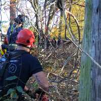 <p>Firefighters work to rescue an injured trapped tree worker.</p>