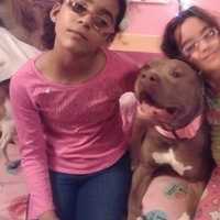 <p>The Johnson twins and their new dog, Carmella.</p>