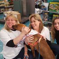 Wappingers Woman Devotes Her Life To Helping Animals