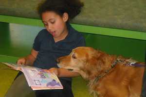 Bloomingdale Library Resumes Book Club Meetings