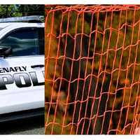 <p>The vehicle had been keyed along the rear trunk and had a Star of David etched into the hood while parked in the lot at Tenafly Borough Hall on Riveredge Road last Saturday, Nov. 4.&nbsp; &nbsp; &nbsp;</p>