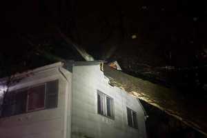 Photos: Large Tree Crashes Onto House In Rockland