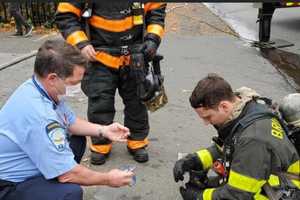 Two Cats Killed, Another Saved During Apartment Fire In Bridgeport