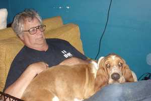 Garfield Dog Owners Push For Basset Hound Rescue