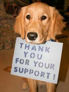 Bloomingdale Supporter Seeks Donations For Animal Foundation
