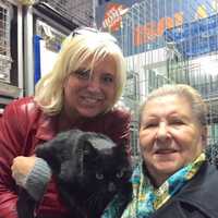 <p>Bergen County Pet &amp; Rescue Foundation.</p>