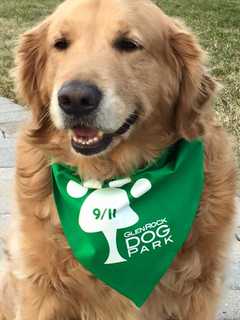 Glen Rock Dog Park Announces Mutt Madness