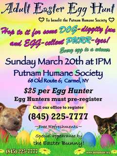 Adult Easter Egg Hunt Raises Money for Putnam Humane Society