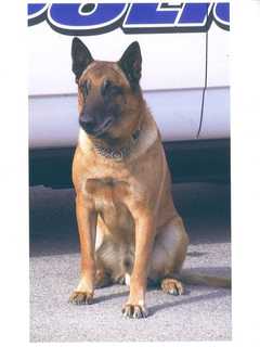Victor, Retired East Fishkill Police Dog,  Dies