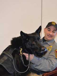 Canine Or K-9? Ridgefield Officer And His Dog Prepare For RVNA Spelling Bee