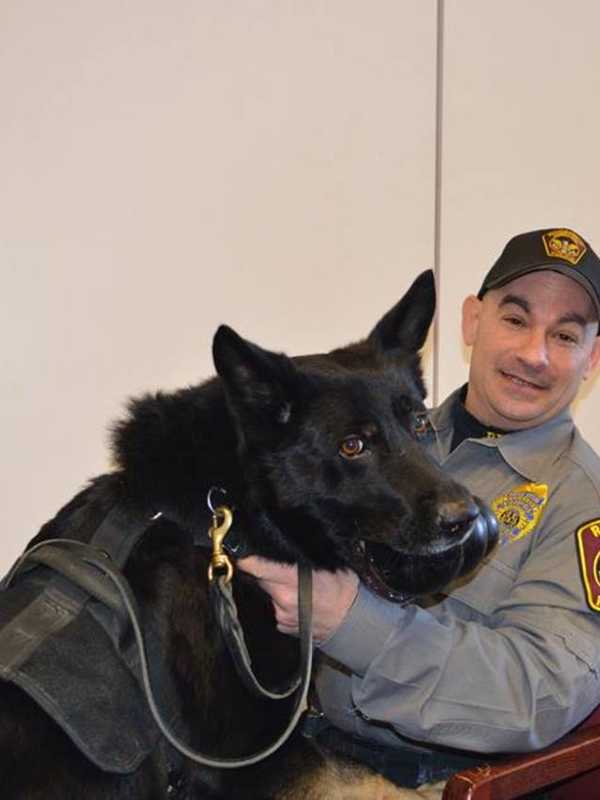 Canine Or K-9? Ridgefield Officer And His Dog Prepare For RVNA Spelling Bee