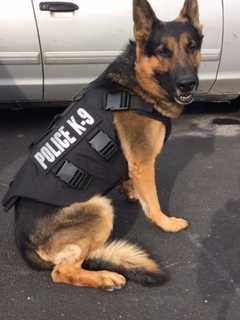 State Police Serving Danbury Get K-9 Armor