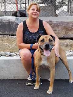 West Milford Animal Shelter Cancels This Year's 5K