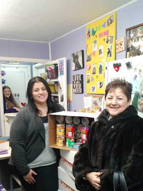 Cliffside Park Animal Shelter Seeks Supplies