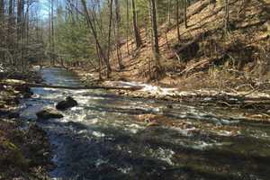 Sherman Man Turns New Fairfield's Great Hollow Into Nature Preserve