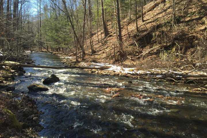 Sherman Man Turns New Fairfield's Great Hollow Into Nature Preserve