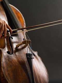 Bergenfield High School Organizes Spring Gala Concert