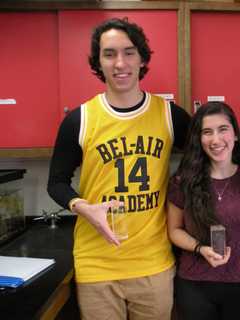 Mahopac High School Students Take First In Competition At Science Fair