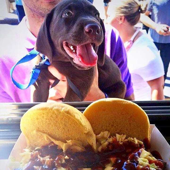 A hungry customer looking for a taste of Oink &amp; Moo BBQ. Oink &amp; Moo has a barbecue restaurant in Florham Park as well as food trucks that hit .