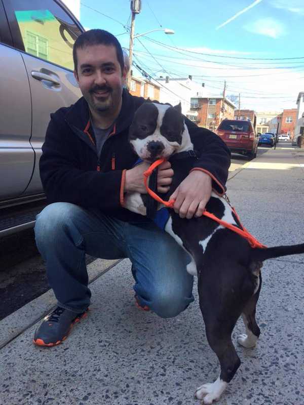 Edgewater Supermarket Organizes Pet Adoption Event