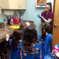 <p>Daisy Troop 96912 girls listen as they learn about how Franklin Lakes Animal Hospital treats wildlife.</p>