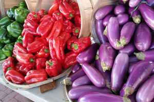 See What's Fresh During National Farmers Market Week, White Plains