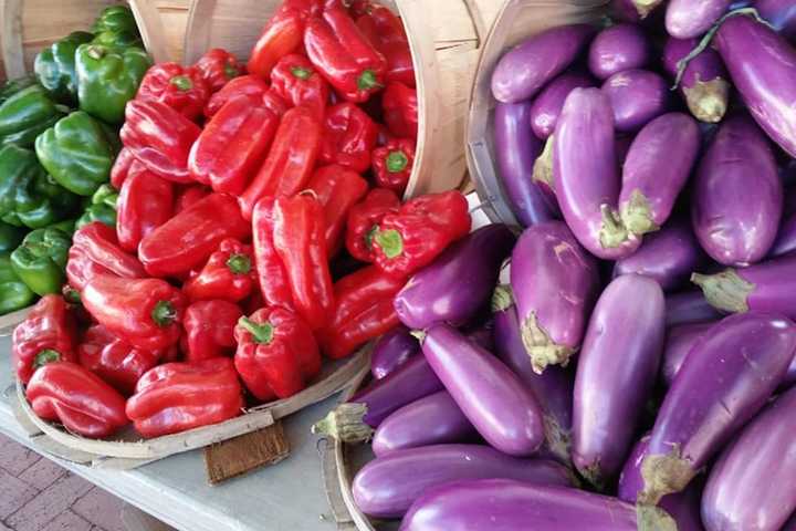 See What's Fresh During National Farmers Market Week, Bronxville
