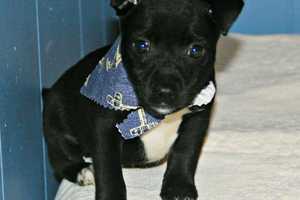 Sunday Garage Sale Aids Ramsey Rescue