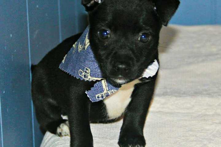 Sunday Garage Sale Aids Ramsey Rescue
