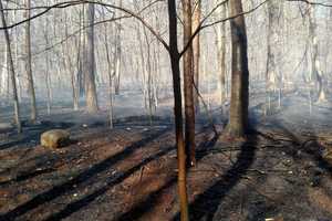 Fire At Darien's Woodland Park Called 'Suspicious'