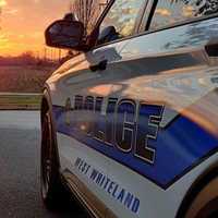 <p>West Whiteland police</p>