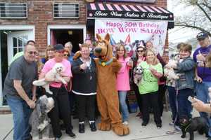 North Arlington Pet Salon Celebrates 30 Years