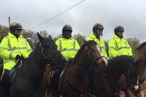 31 Mounted Police Officers Graduate Rockland Sheriff's Program In Pomona